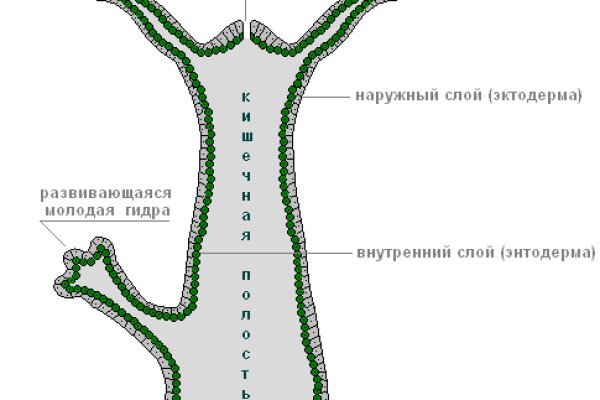 Кракен сайт пользователь не найден